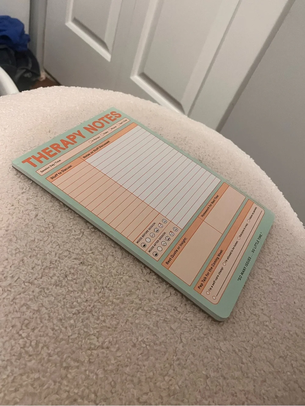Knock Knock Pastel Therapy Session Notes Memo Notepad